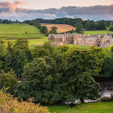 English Heritage digitise management of 38,000 trees with Causeway Alloy