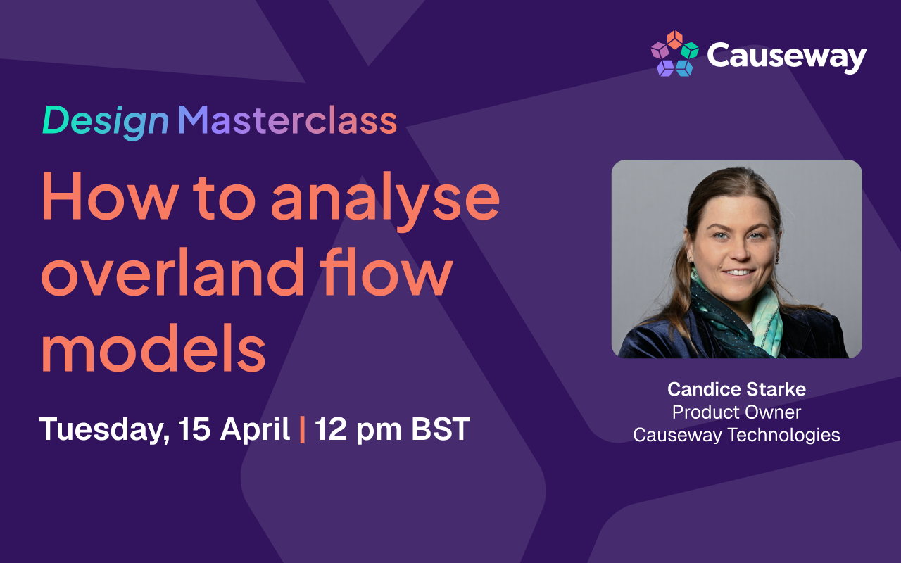 Design Masterclass: How to analyse overland flow models